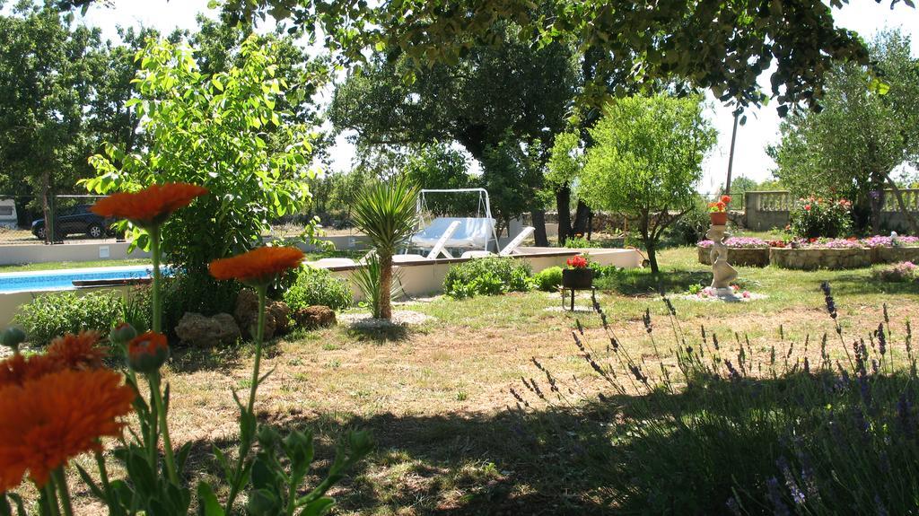 Kaja House Apartman *