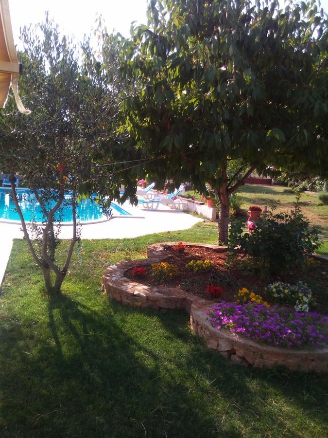 Kaja House Apartment Lozovac